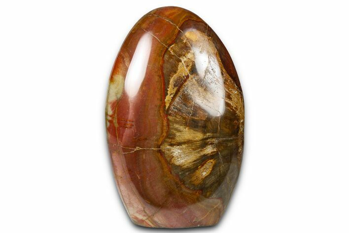 Free-Standing, Polished Petrified Wood - Madagascar #376109